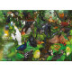 The Endangered Species Collection – Nr. 1 Tropical Rainforest