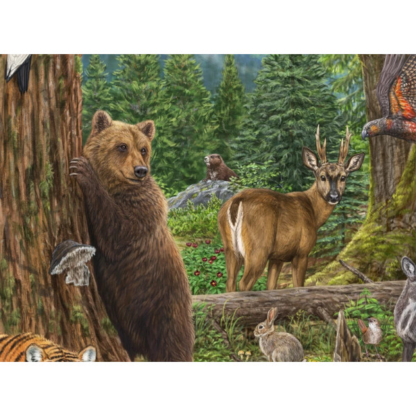 The Endangered Species Collection – Nr. 3 Temperate Forest