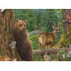 The Endangered Species Collection – Nr. 3 Temperate Forest