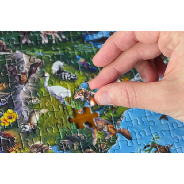 The Endangered Species Collection – Nr. 2 The World Map