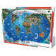 The Endangered Species Collection – Nr. 2 The World Map